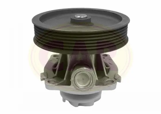Pompe à eau, refroidissement du moteur CAR 331043