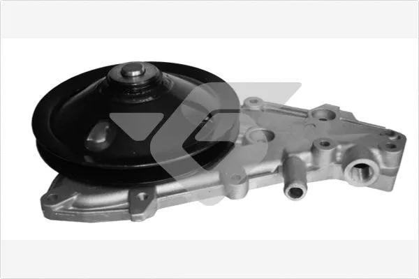 Pompe à eau, refroidissement du moteur HUTCHINSON WP119