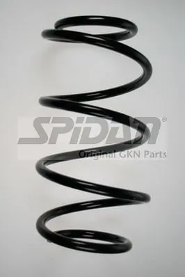 Ressort de suspension SPIDAN 85956