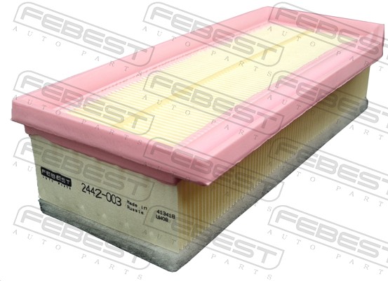 Filtre à air FEBEST 2442-003