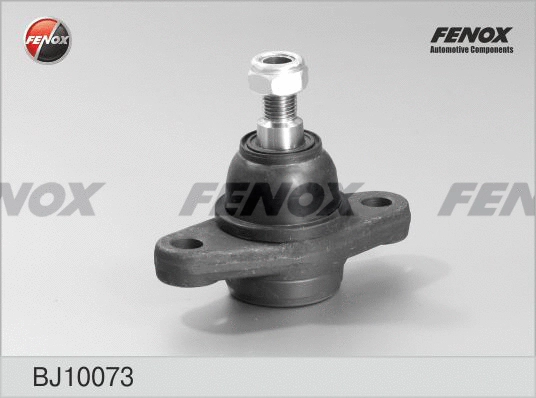 Rotule de suspension FENOX BJ10073