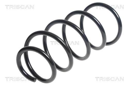 Ressort de suspension TRISCAN 8750 11161