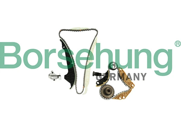 Kit de distribution par chaîne Borsehung B10220