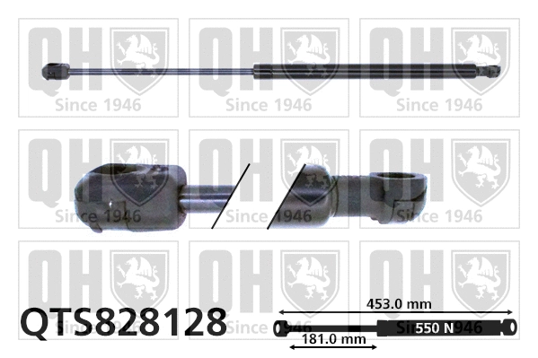 Vérin de hayon, de coffre QUINTON HAZELL QTS828128
