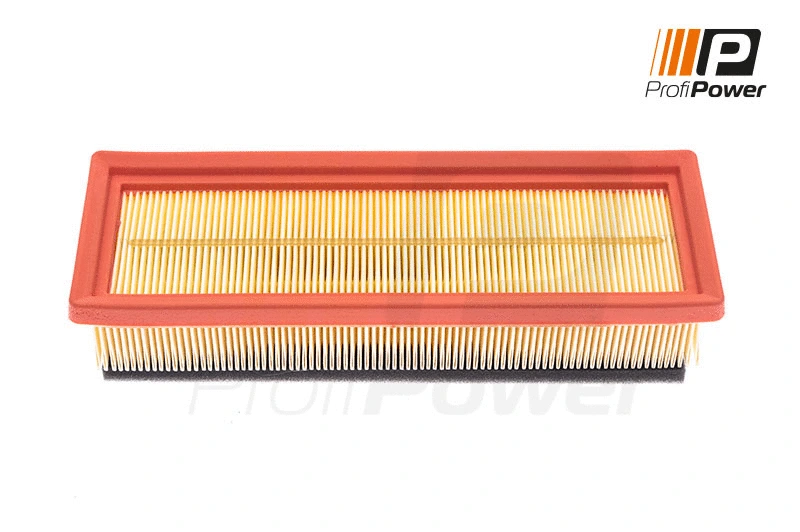 Filtre à air ProfiPower 2F0018