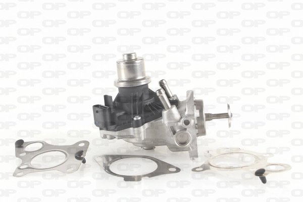 Vanne EGR OPEN PARTS EGR3009.00