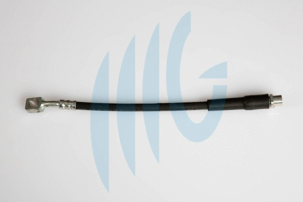 Flexible de frein RICAMBIFLEX GM 02360504