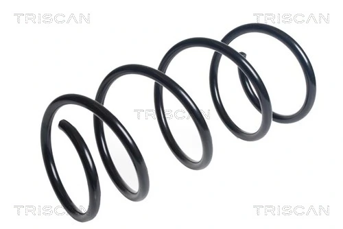 Ressort de suspension TRISCAN 8750 13234