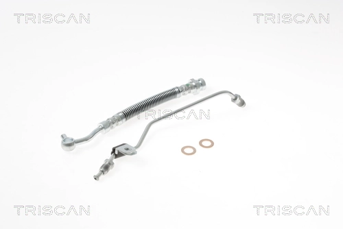 Flexible de frein TRISCAN 8150 18229