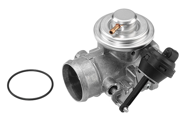 Vanne EGR BorgWarner 7223D