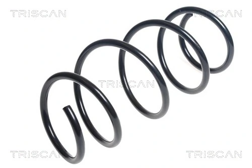 Ressort de suspension TRISCAN 8750 13219