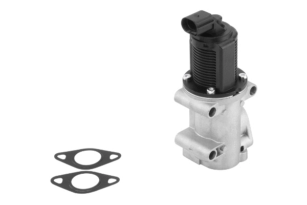 Vanne EGR BorgWarner 710963R