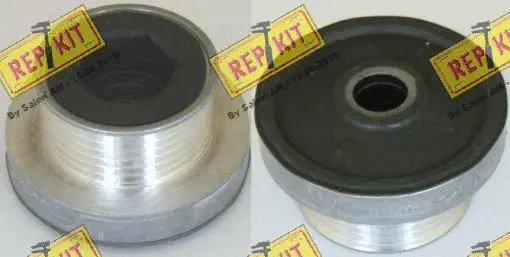 Poulie roue libre, alternateur REPKIT RKT2720