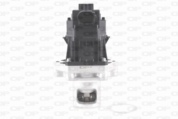 Vanne EGR OPEN PARTS EGR3001.00