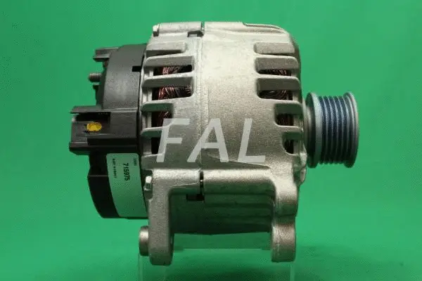 Alternateur FAL Anlasser- und Lichtmaschinenservice F016228/1