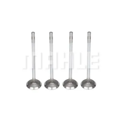 Soupape d'admission MAHLE VA0011475