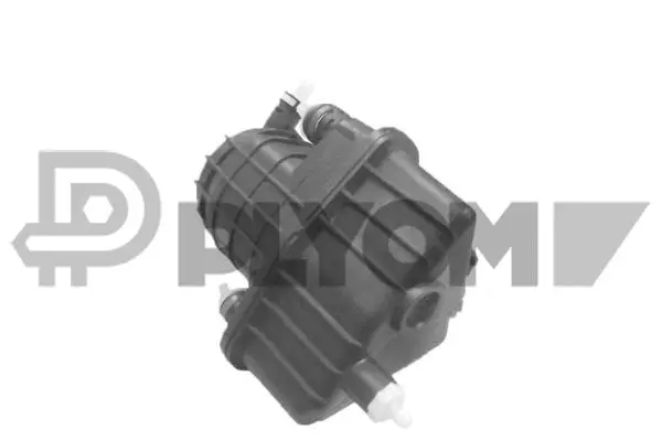 Filtre à carburant PLYOM P021483