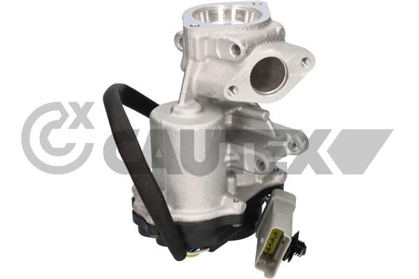 Vanne EGR CAUTEX 772497