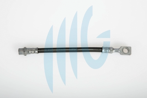 Flexible de frein RICAMBIFLEX GM 02360452