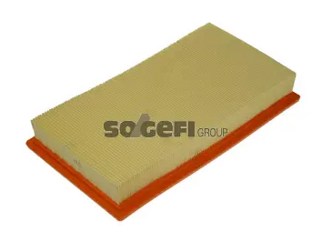 Filtre à air FRAM CA10242
