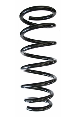 Ressort de suspension SPIDAN 85310