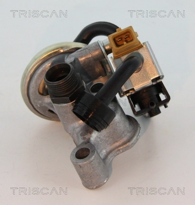 Vanne EGR TRISCAN 8813 23005