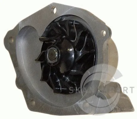 Pompe à eau, refroidissement du moteur SKANIMPORT WP 0725