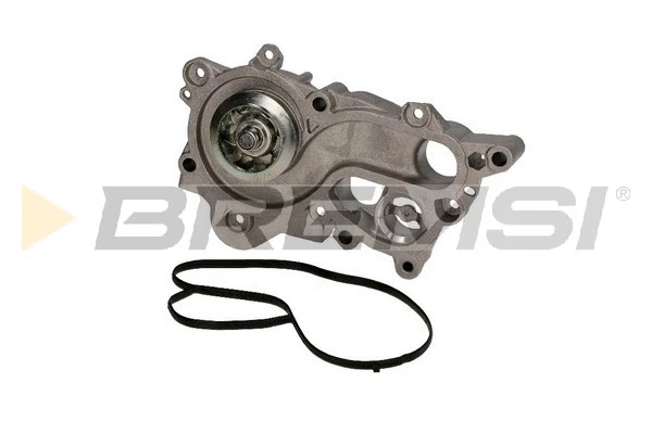 Pompe à eau, refroidissement du moteur BREMSI WP0273
