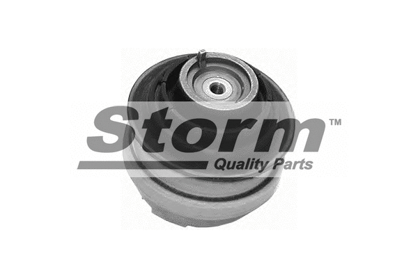 Support moteur STORM QUALITY PARTS F2633