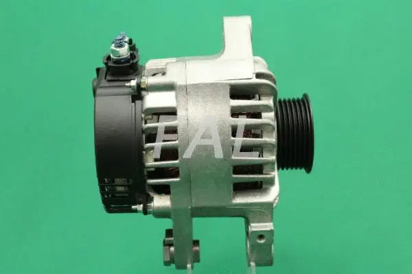 Alternateur FAL Anlasser- und Lichtmaschinenservice F011666/2
