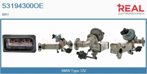 Module-EGR REAL 53194300OE