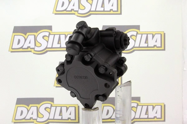 Pompe hydraulique, direction DA SILVA DP2984