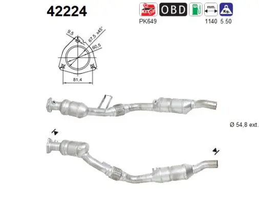 Catalyseur AS 42224