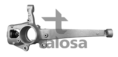 Fusée d'essieu, suspension de roue TALOSA 79-02802L