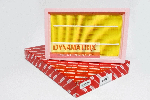 Filtre à air DYNAMATRIX DAF534
