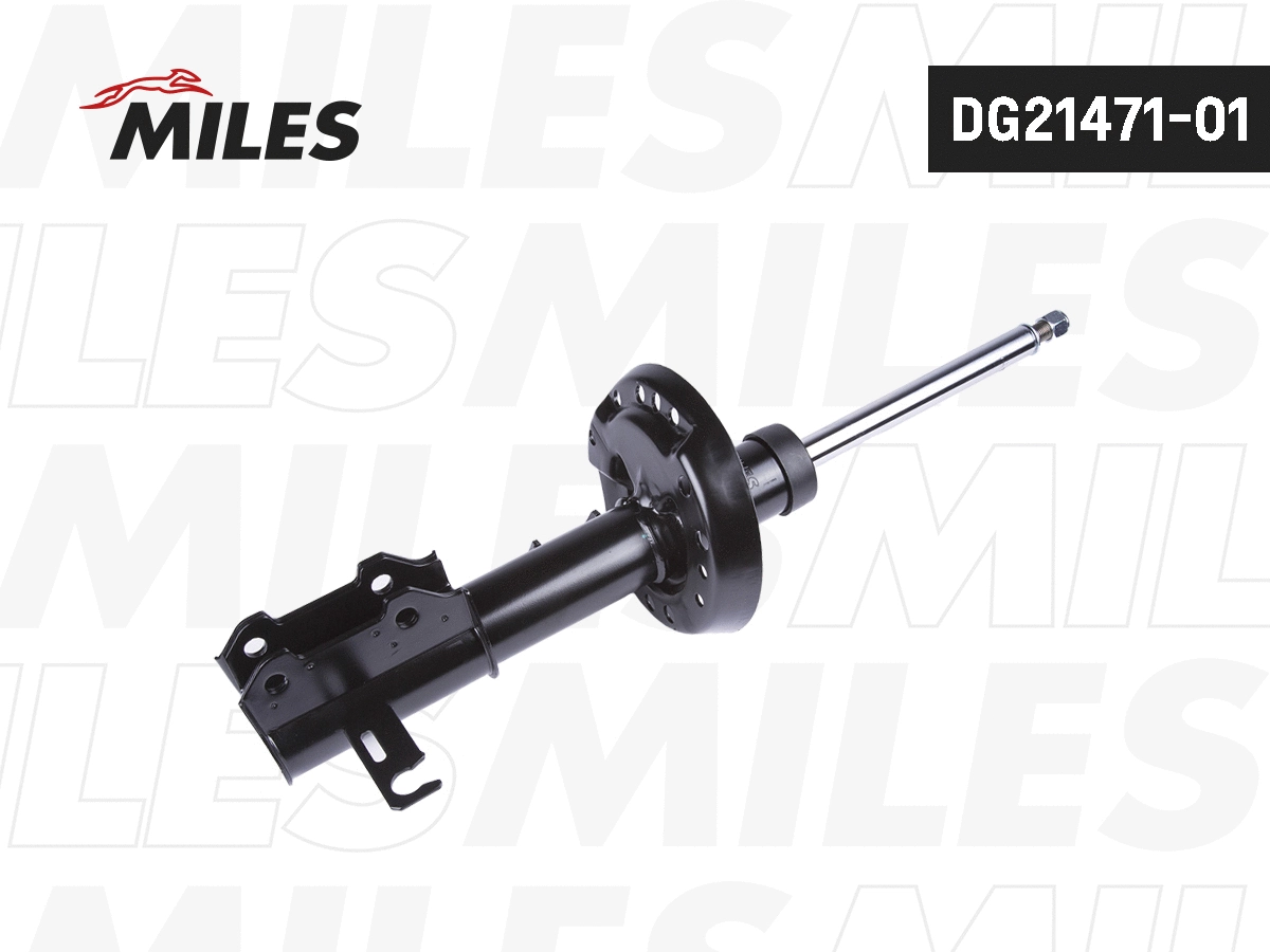 Amortisseur MILES DG21471-01
