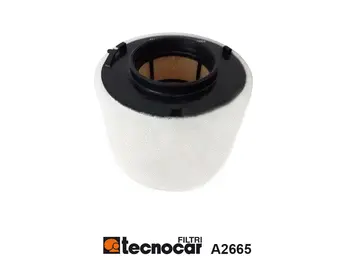 Filtre à air TECNOCAR A2665