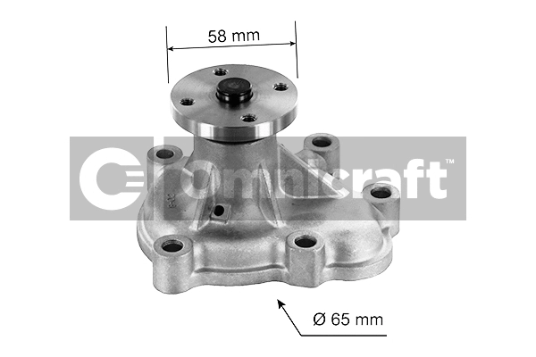 Pompe à eau, refroidissement du moteur Omnicraft 2317418