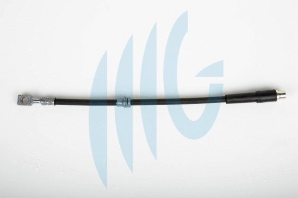 Flexible de frein RICAMBIFLEX GM 02360506