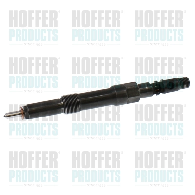 Injecteur HOFFER H74289R