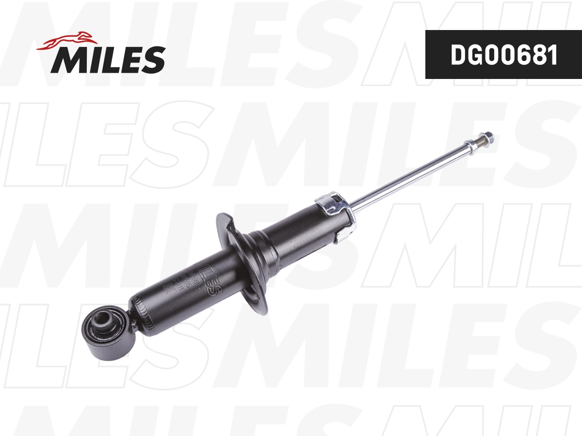 Amortisseur MILES DG00681