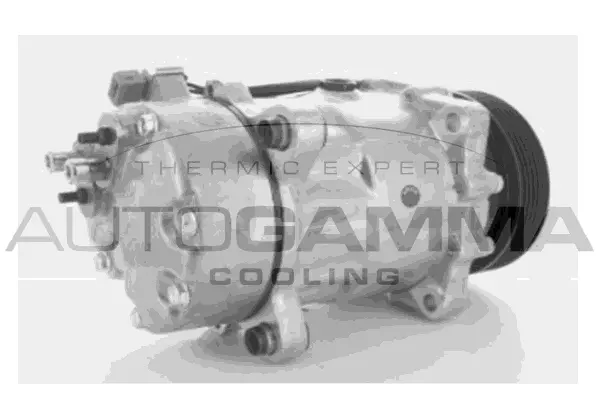 Compresseur, climatisation AUTOGAMMA 108001