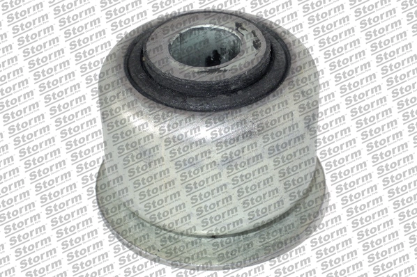 Douille, pivot de fusée d'essieu STORM QUALITY PARTS F10575
