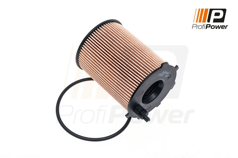 Filtre à huile ProfiPower 1F0097