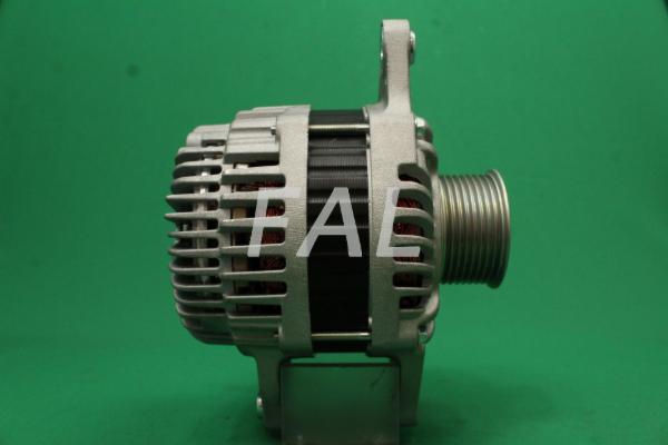 Alternateur FAL Anlasser- und Lichtmaschinenservice F013087/25