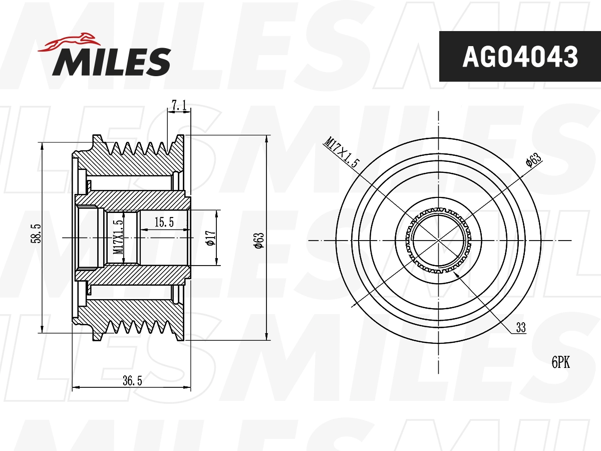 Poulie roue libre, alternateur MILES AG04043