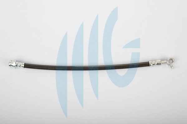 Flexible de frein RICAMBIFLEX GM 02300898