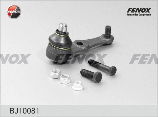 Rotule de suspension FENOX BJ10081
