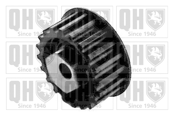 Poulie de tension, courroie crantée QUINTON HAZELL QTT169