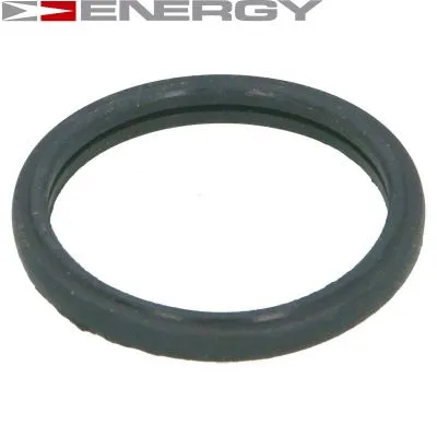 Joint, thermostat ENERGY 90096383